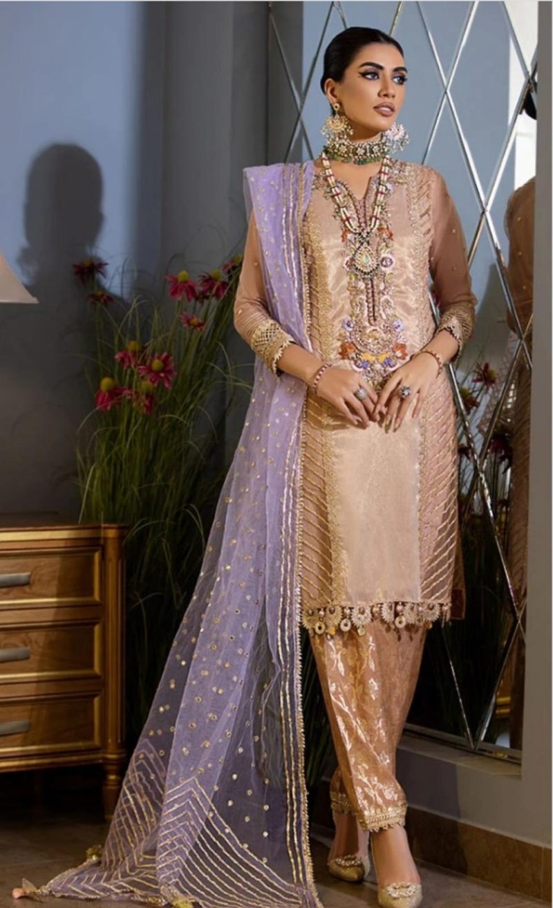 Banarasi Jackard pant Contrast net organza dupatta - Image 2