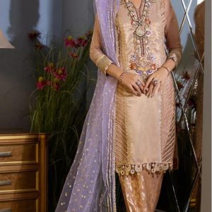 Banarasi Jackard pant Contrast net organza dupatta