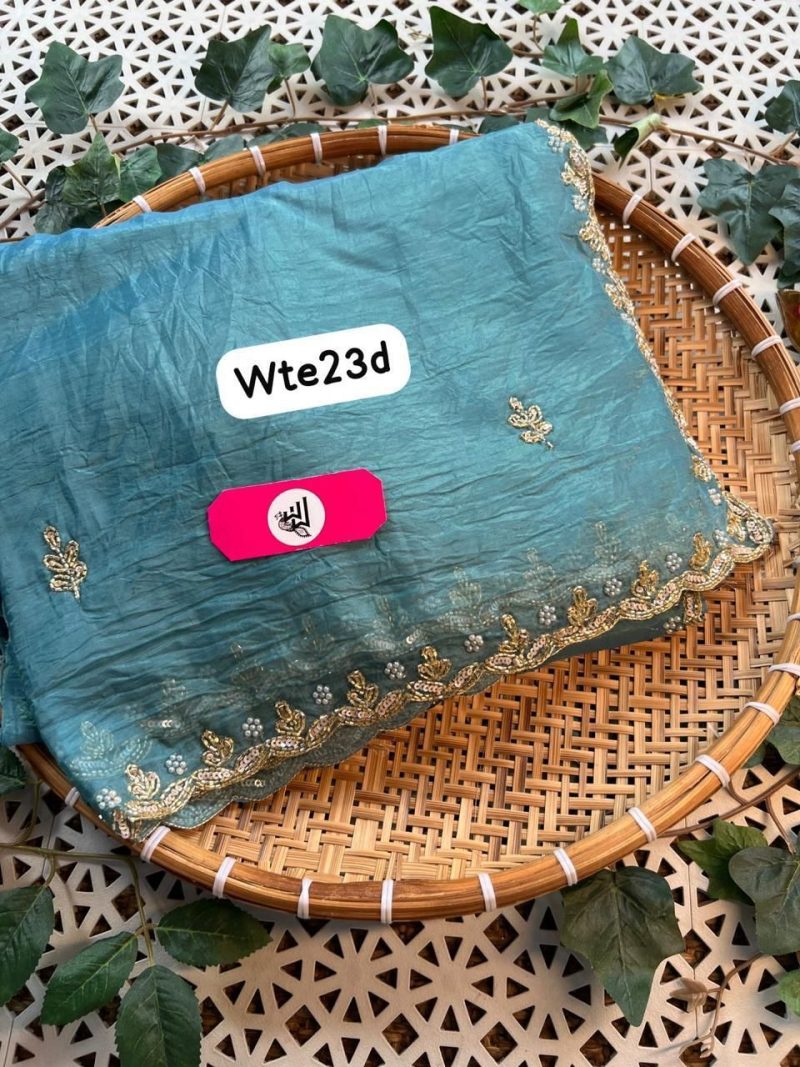 Organza Banarasi Drepes Saree With Stone Work Brocade Blouse