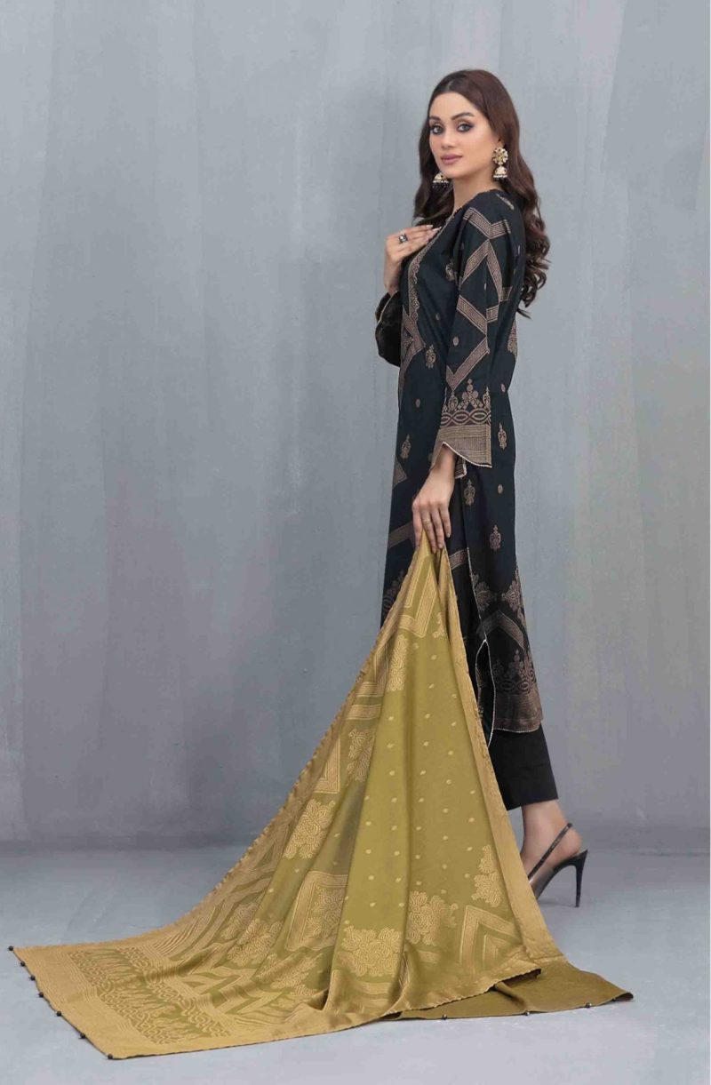 A matching contrast dupatta in Banarasi fabric with plain trousers - Image 4