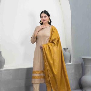 A matching contrast dupatta in Banarasi fabric with plain trousers
