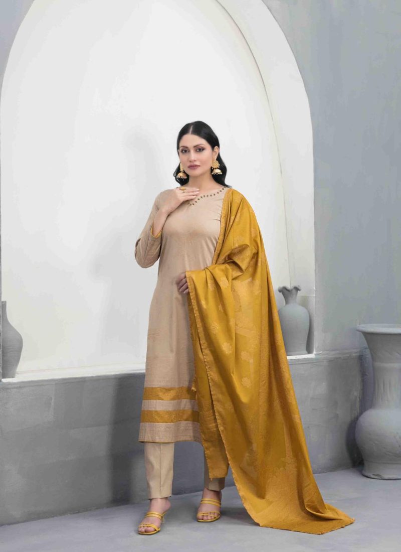 A matching contrast dupatta in Banarasi fabric with plain trousers